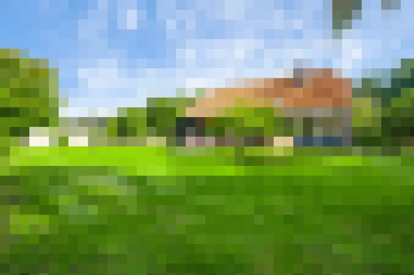 Tienrayseweg 9 Horst thumbnail 6