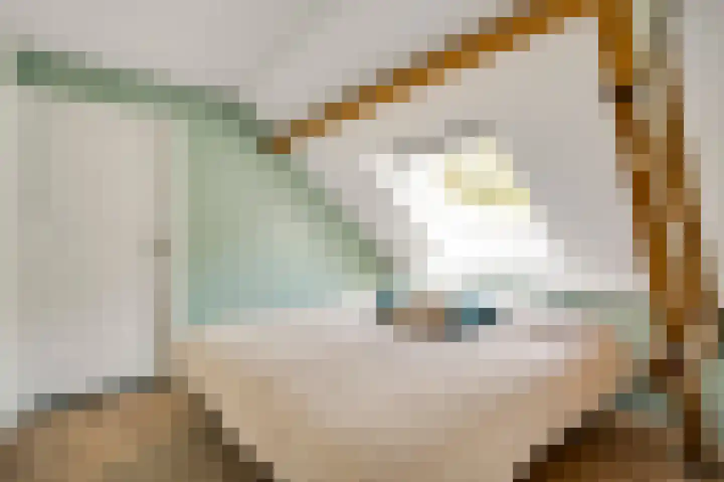 Tienrayseweg 9 Horst thumbnail 7