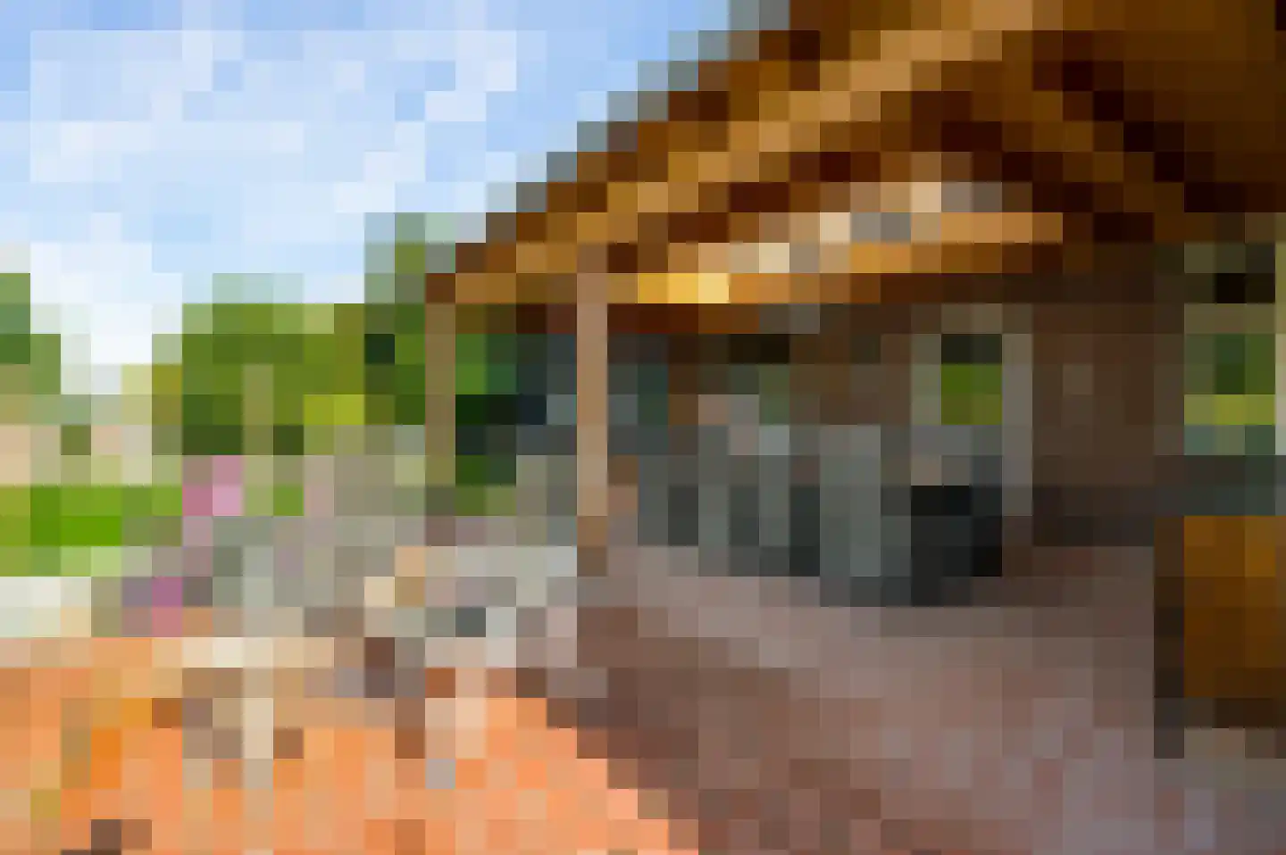 Tienrayseweg 9 Horst thumbnail 71