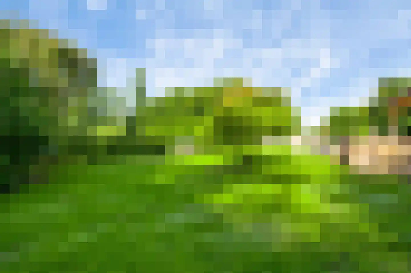 Tienrayseweg 9 Horst thumbnail 75