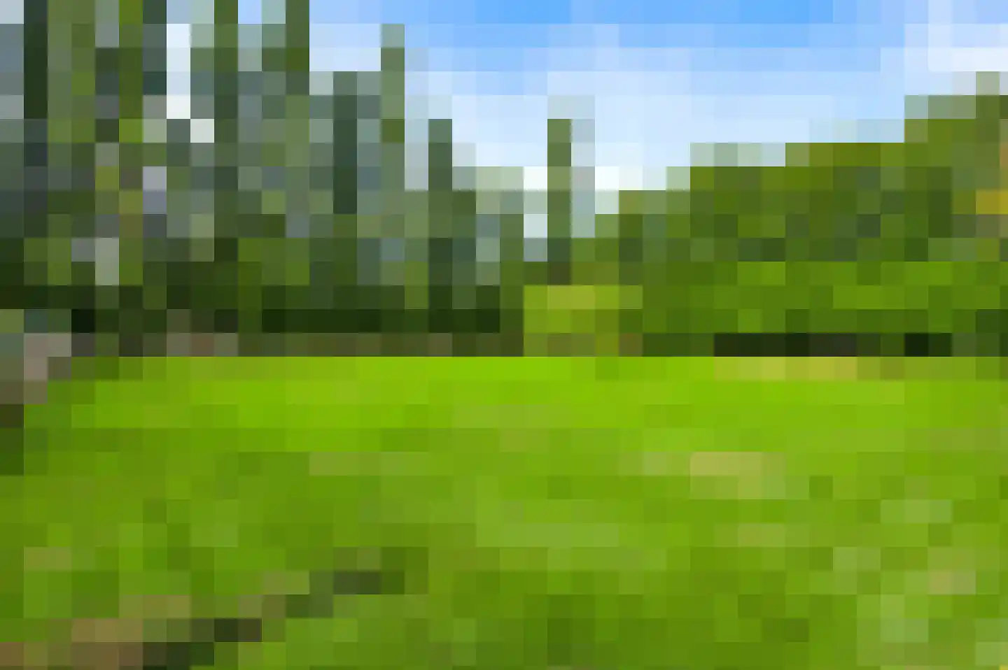 Tienrayseweg 9 Horst thumbnail 76