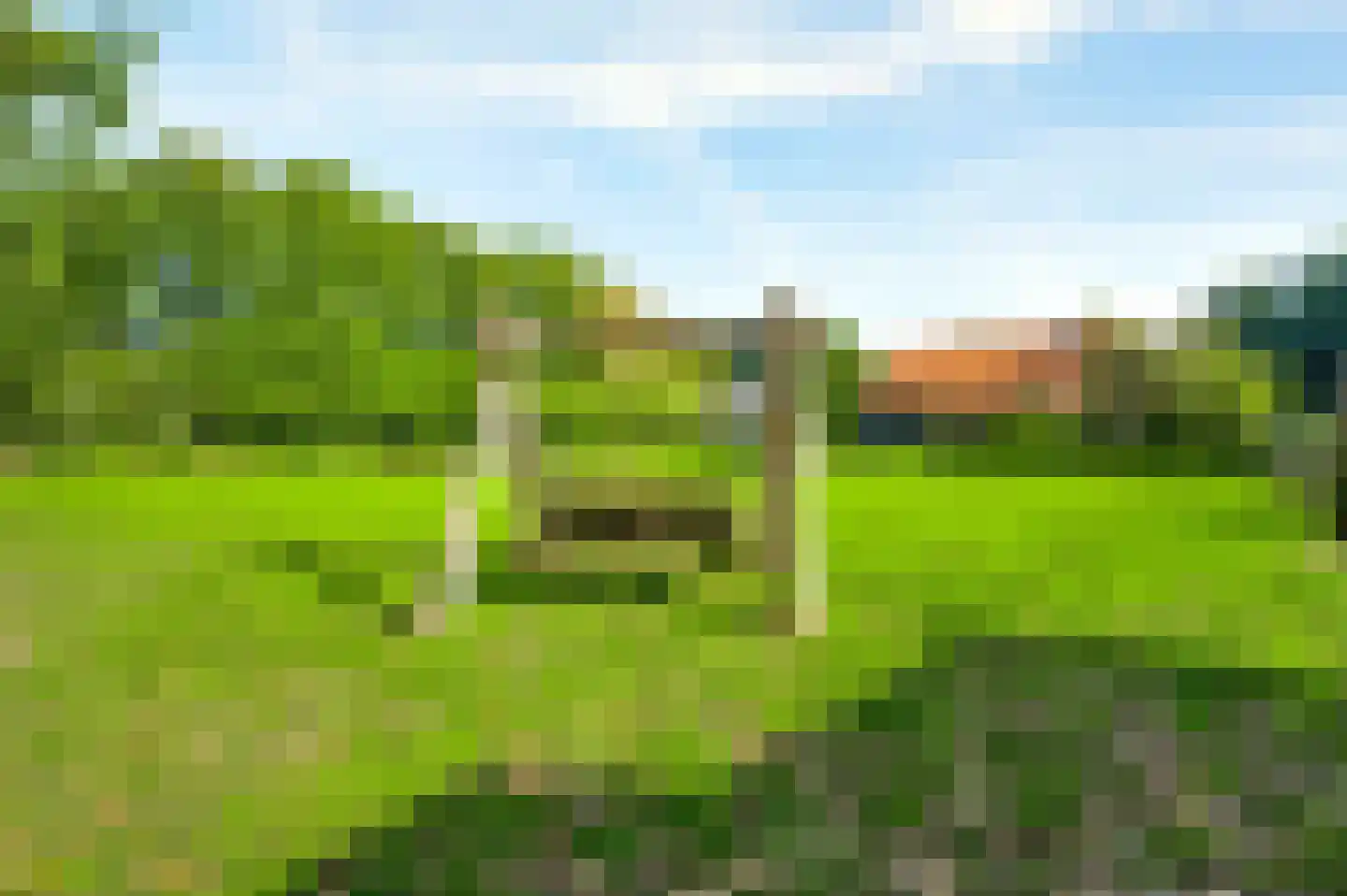 Tienrayseweg 9 Horst thumbnail 77