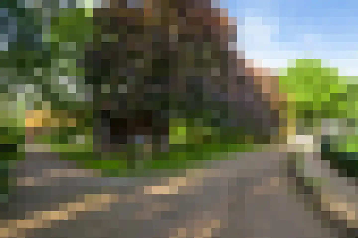Tienrayseweg 9 Horst thumbnail 9