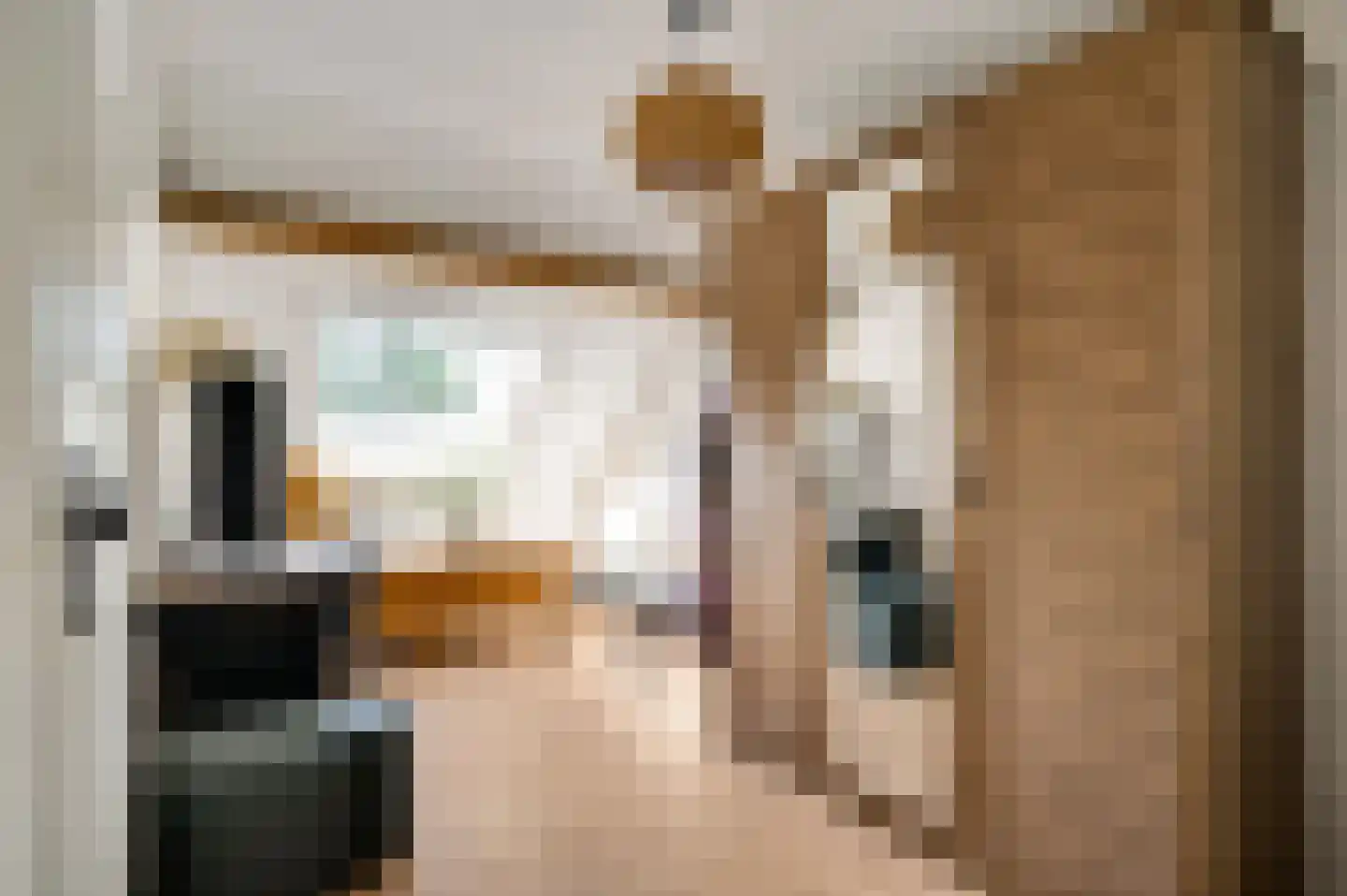 Tienrayseweg 9 Horst thumbnail 91