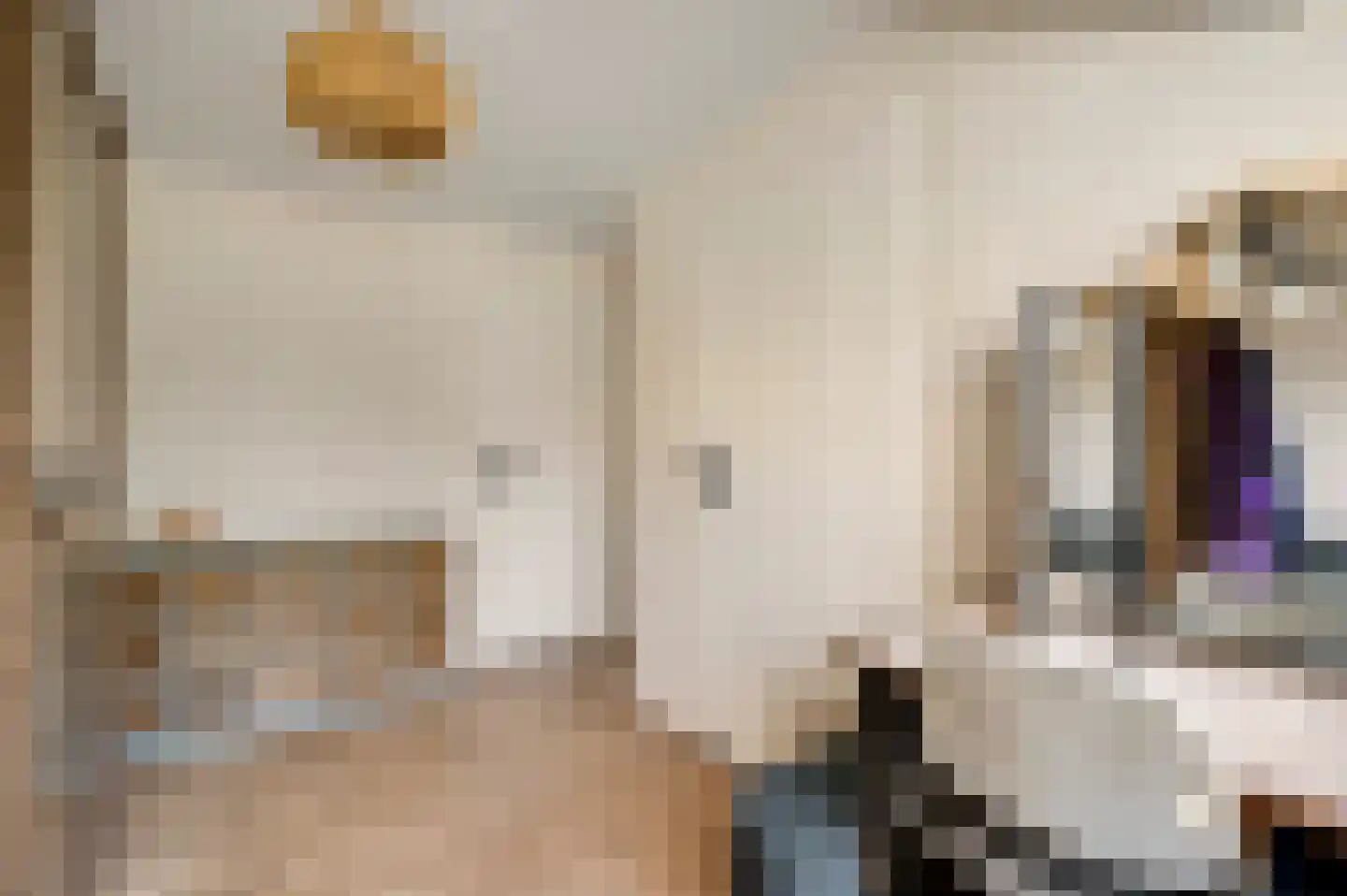 Tienrayseweg 9 Horst thumbnail 92