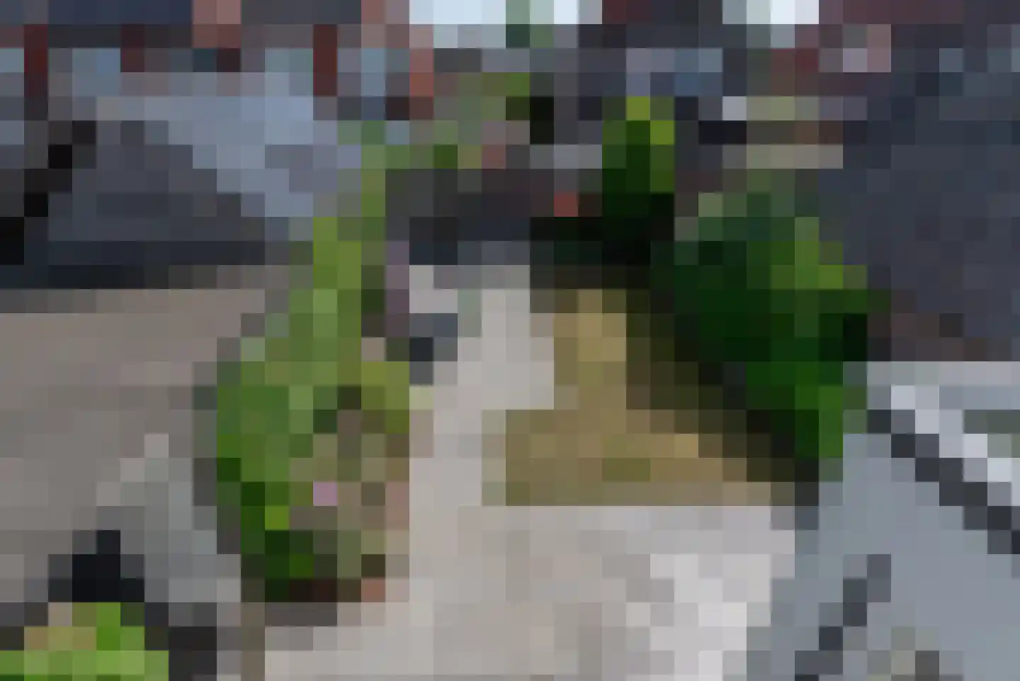 Tienwoningenweg 13 Apeldoorn thumbnail 35