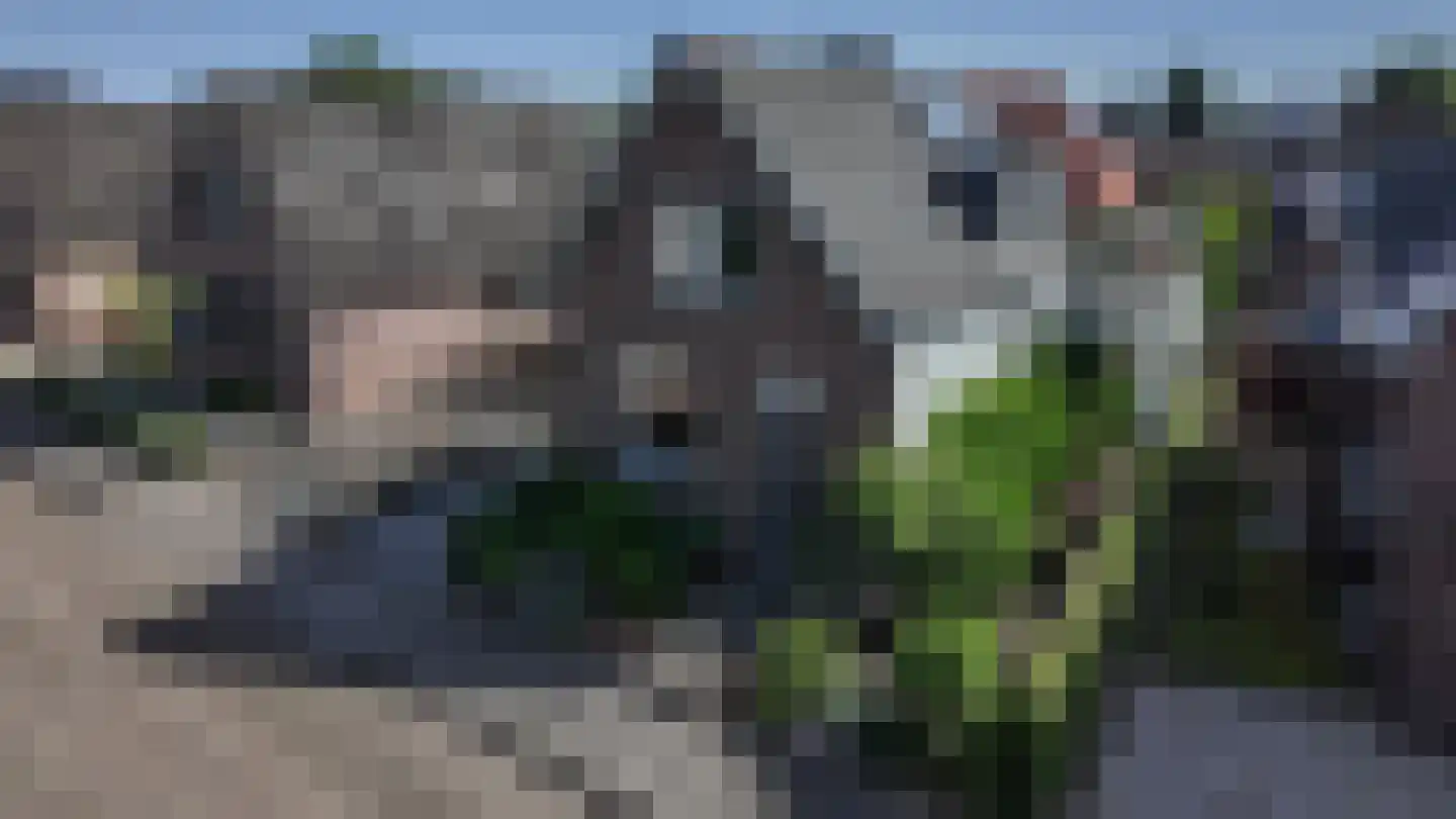 Tienwoningenweg 13 Apeldoorn thumbnail 47