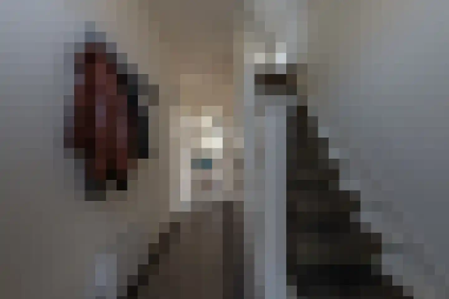 Tienwoningenweg 13 Apeldoorn thumbnail 9