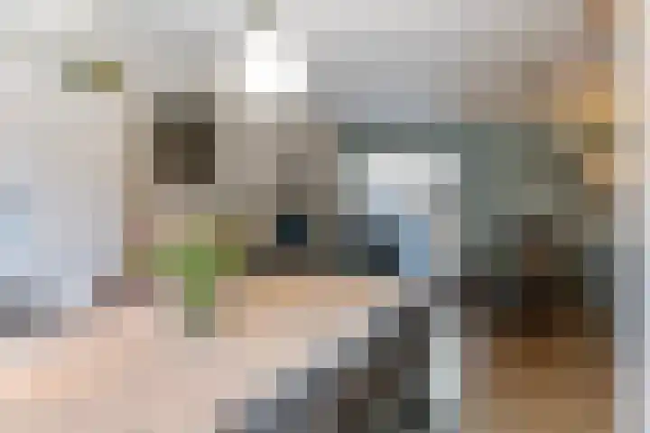 Tienwoningenweg 39 Apeldoorn thumbnail 10