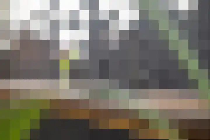 Tienwoningenweg 39 Apeldoorn thumbnail 14