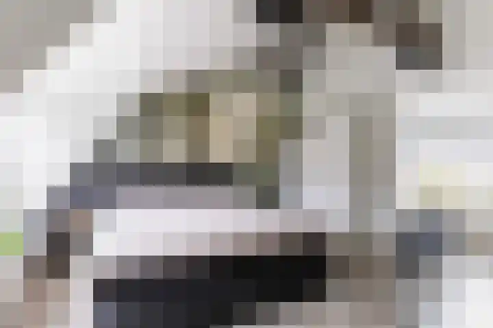Tienwoningenweg 39 Apeldoorn thumbnail 20