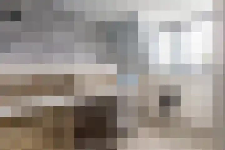 Tienwoningenweg 39 Apeldoorn thumbnail 22