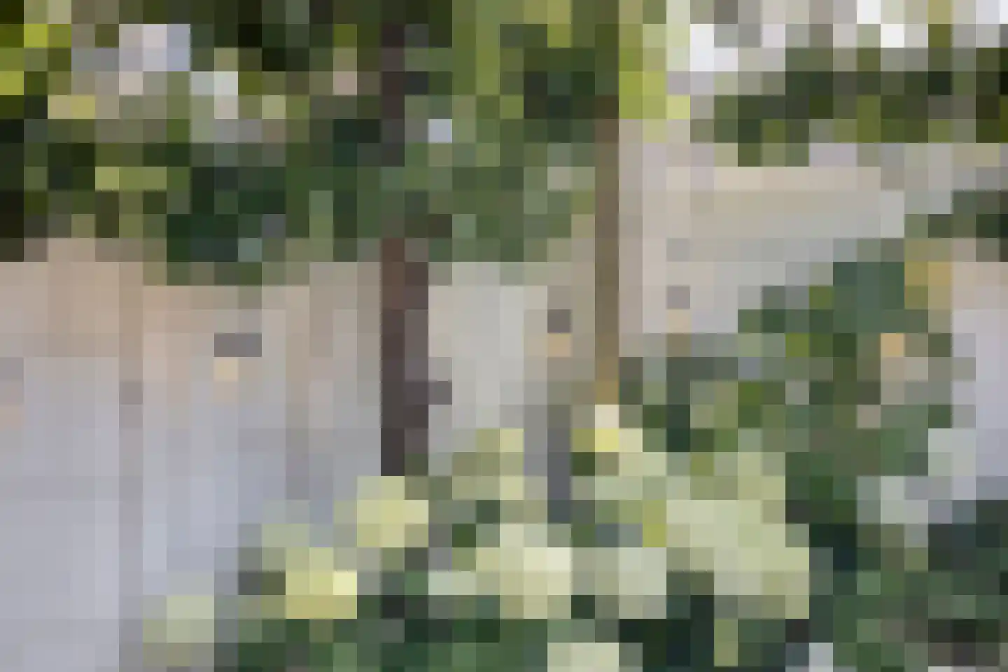 Tienwoningenweg 5 Apeldoorn thumbnail 37