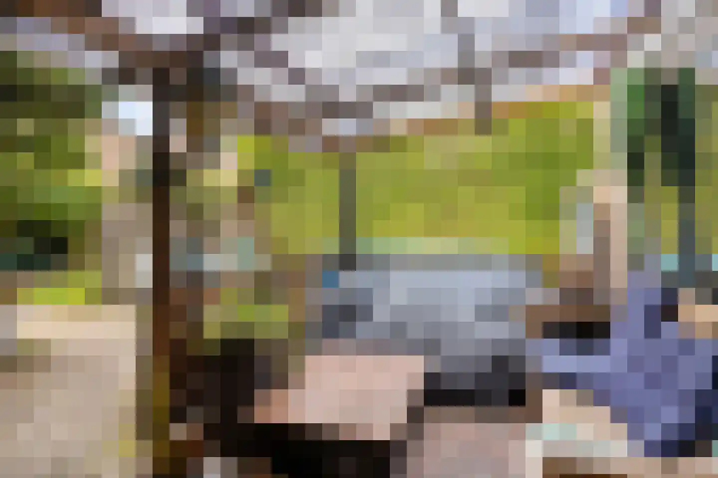 Tienwoningenweg 8 Apeldoorn thumbnail 15