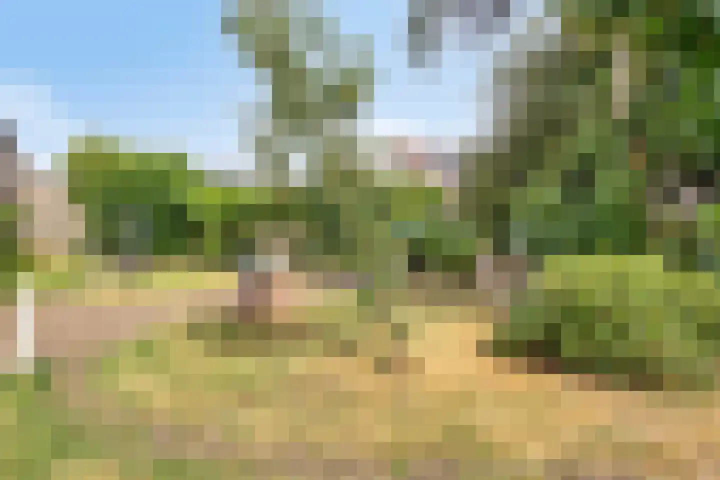 Tienwoningenweg 8 Apeldoorn thumbnail 16