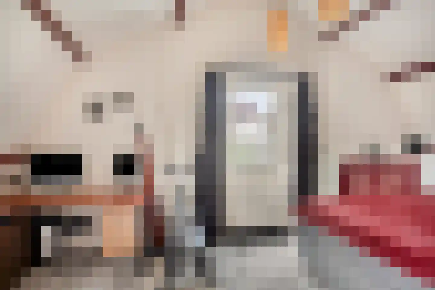 Tienwoningenweg 8 Apeldoorn thumbnail 23