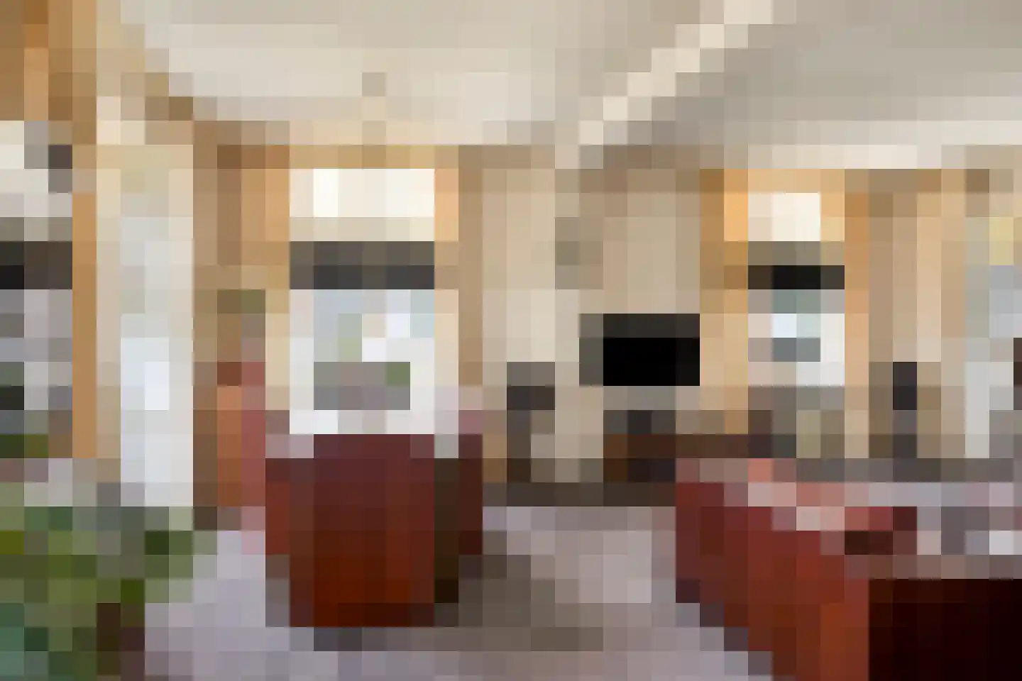 Tienwoningenweg 8 Apeldoorn thumbnail 9