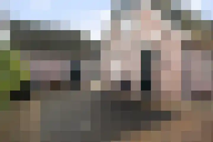 Tienwoningenweg 9 Apeldoorn thumbnail 12