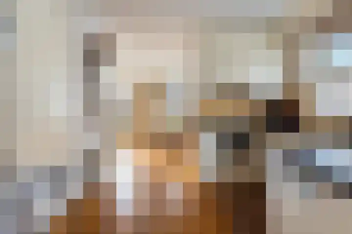 Tienwoningenweg 9 Apeldoorn thumbnail 16