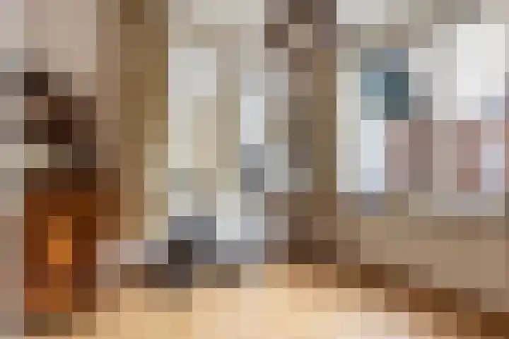 Tienwoningenweg 9 Apeldoorn thumbnail 18