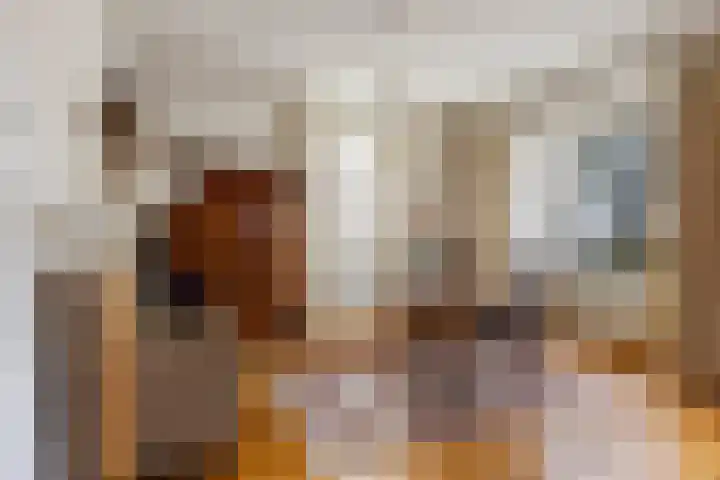Tienwoningenweg 9 Apeldoorn thumbnail 4