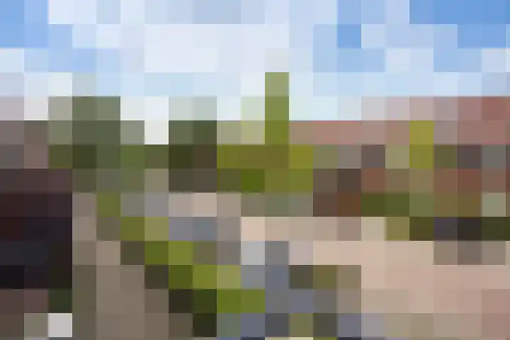 Tieratesstraat 22 Wateringen thumbnail 23