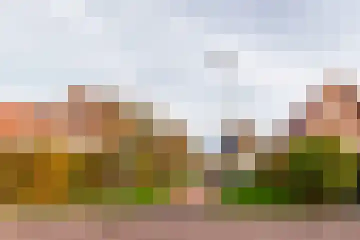 Tieratesstraat 23 Wateringen thumbnail 35