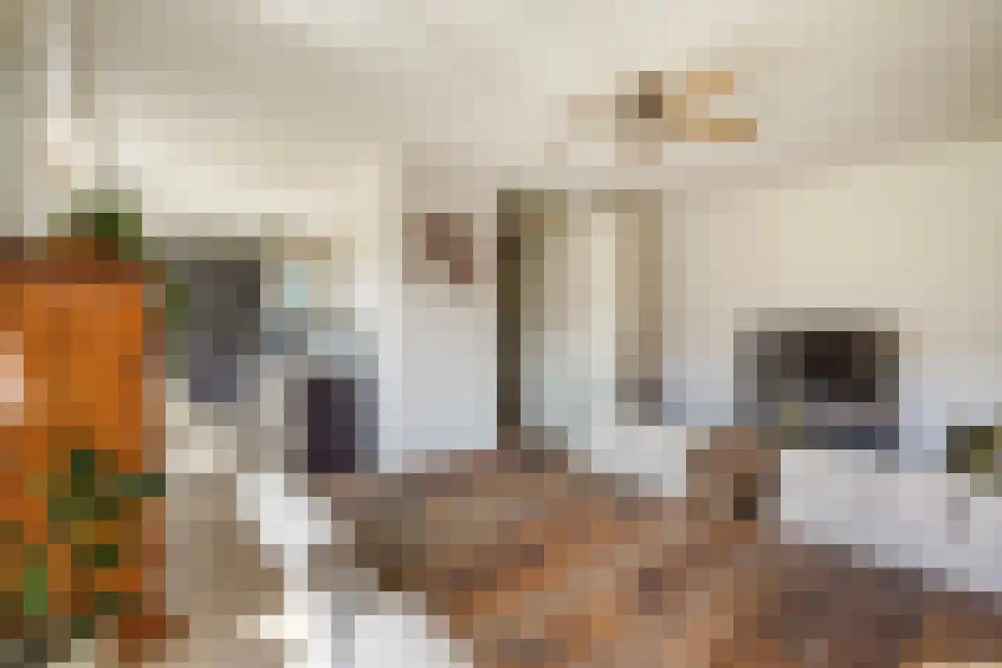 Tieratesstraat 8 Wateringen thumbnail 15