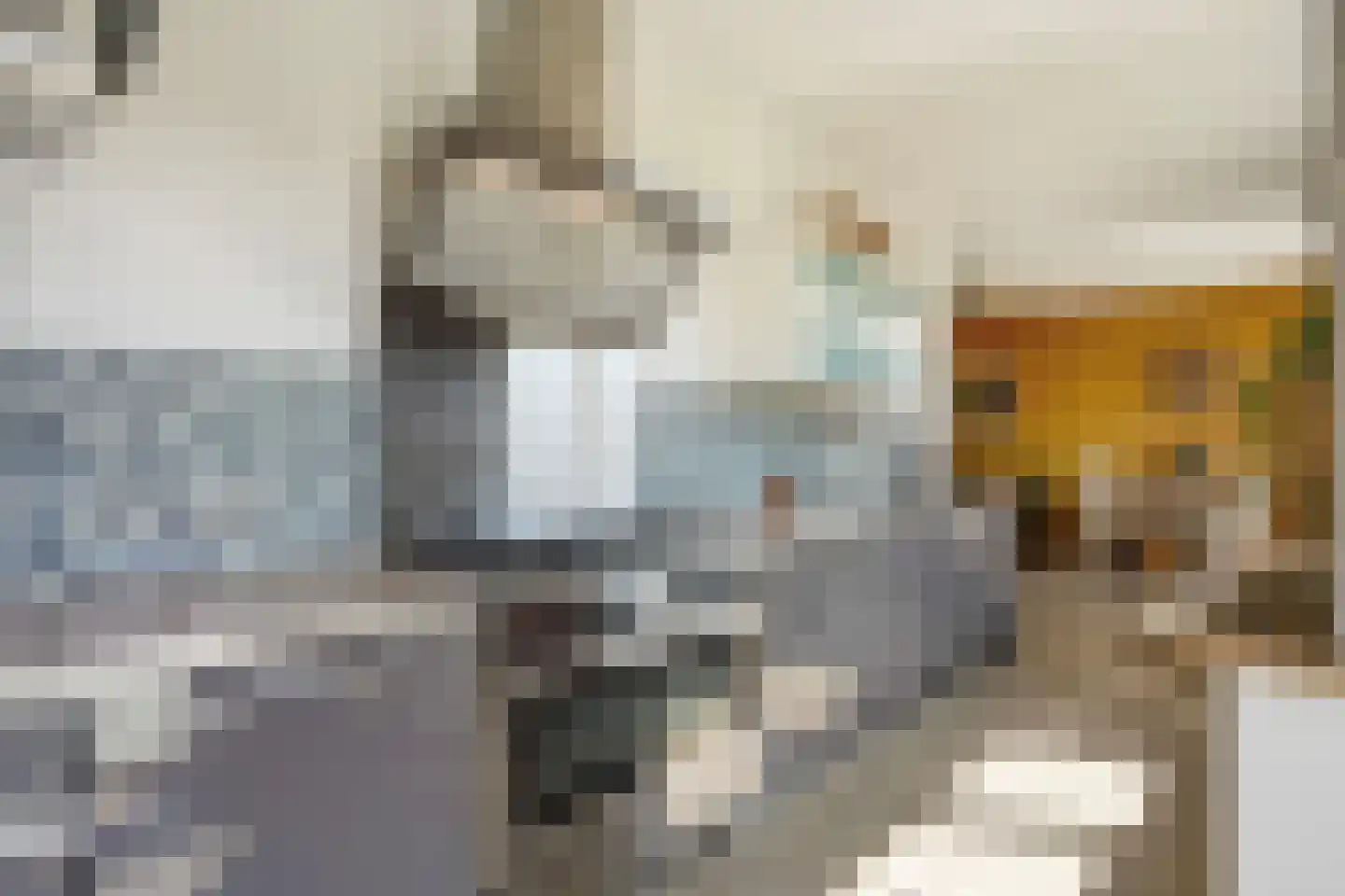 Tieratesstraat 8 Wateringen thumbnail 17
