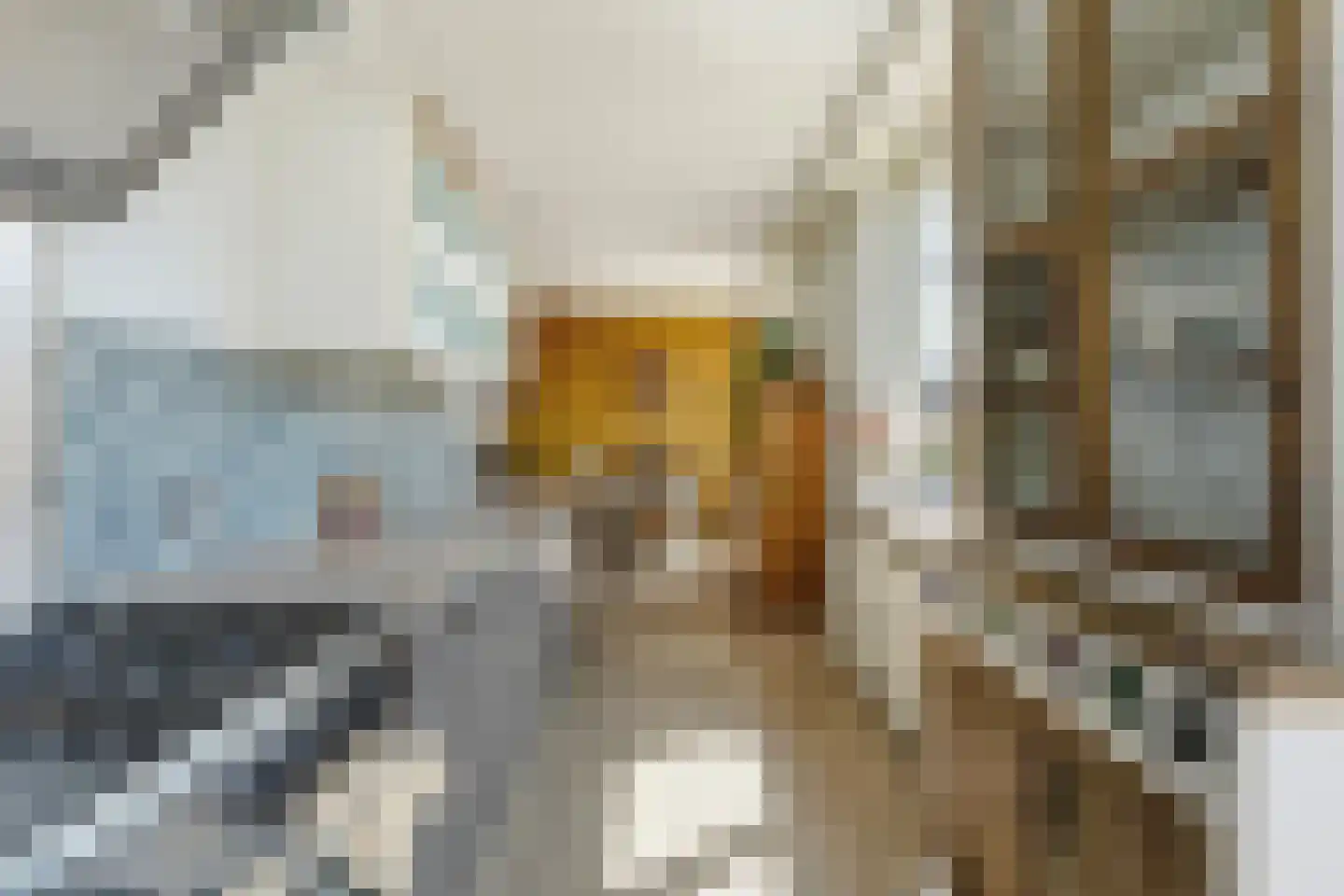 Tieratesstraat 8 Wateringen thumbnail 18
