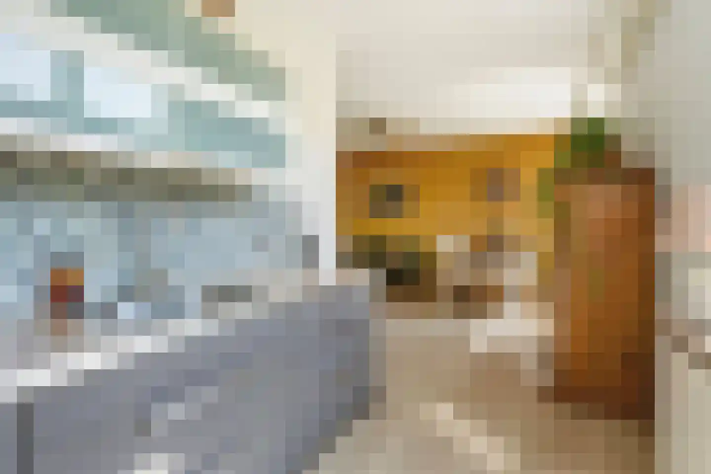Tieratesstraat 8 Wateringen thumbnail 19