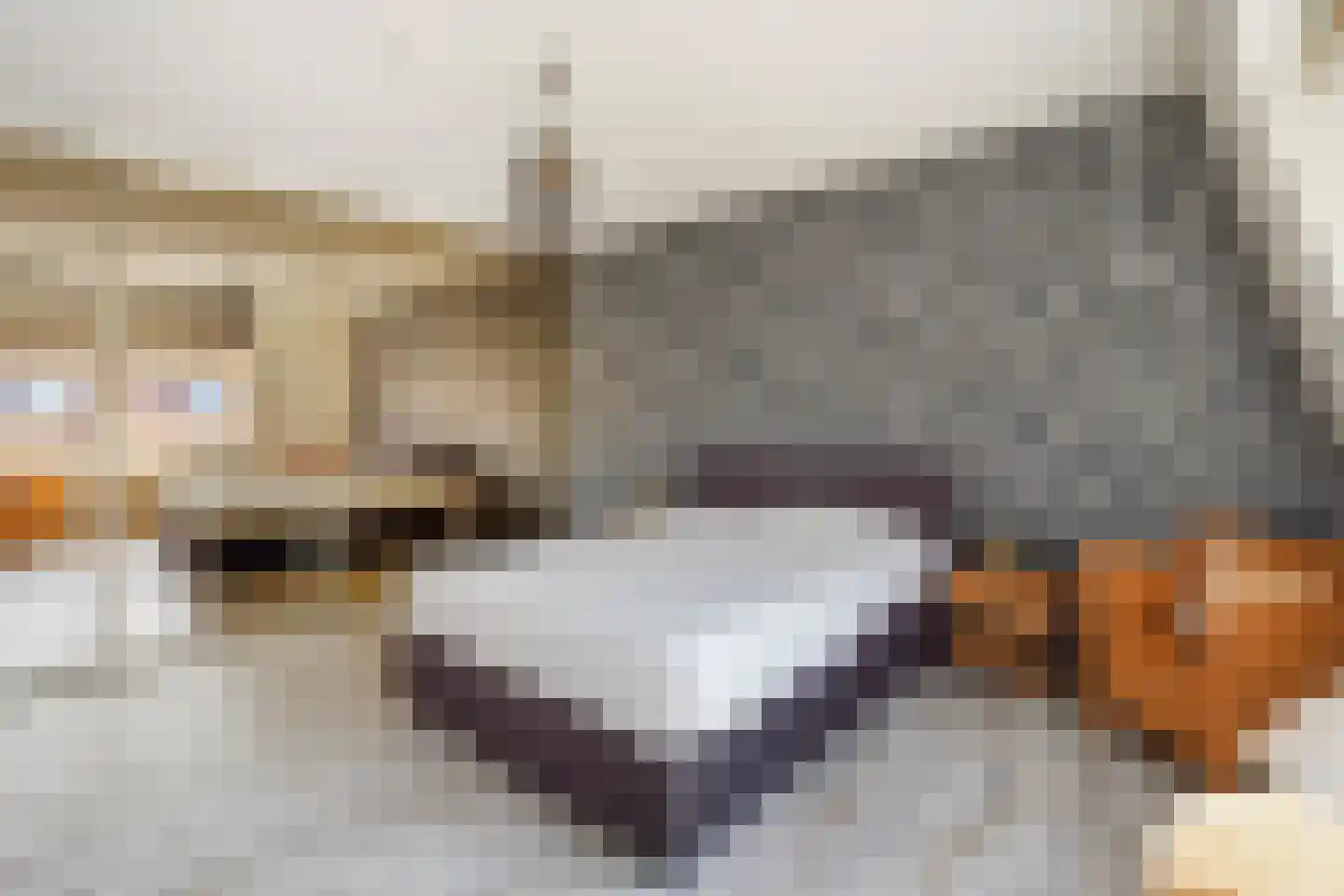 Tieratesstraat 8 Wateringen thumbnail 25