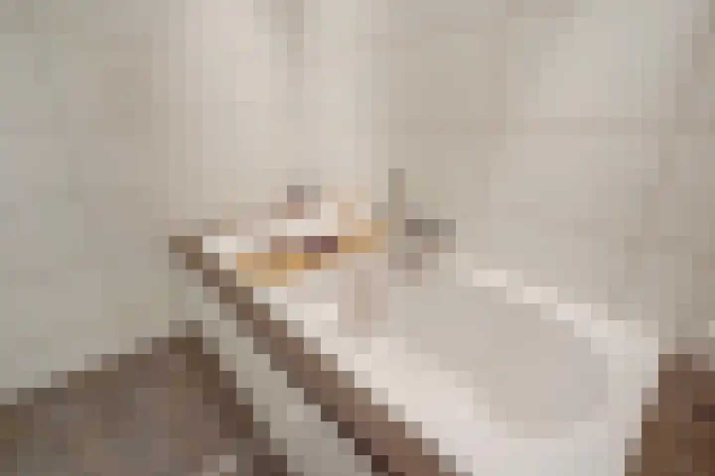 Tieratesstraat 8 Wateringen thumbnail 31