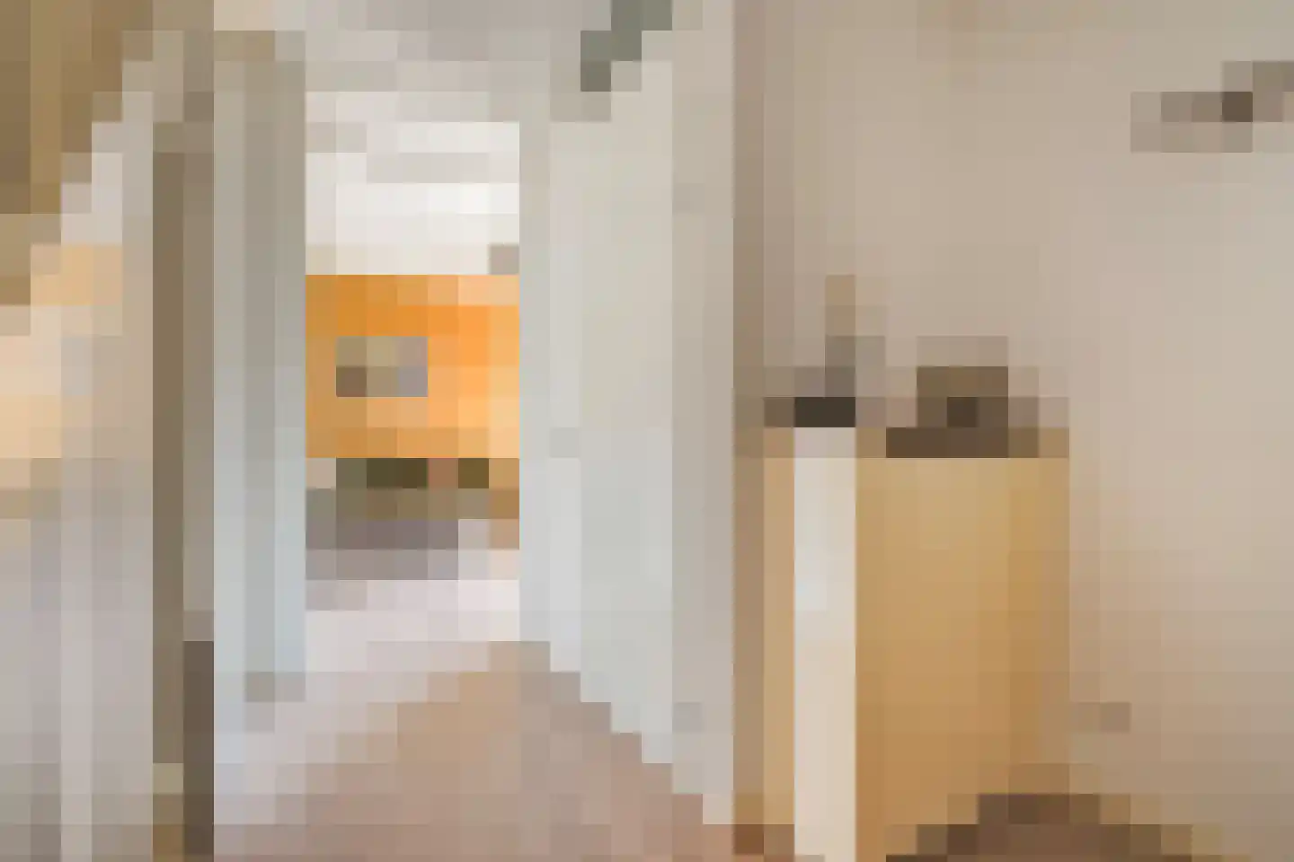 Tieratesstraat 8 Wateringen thumbnail 8