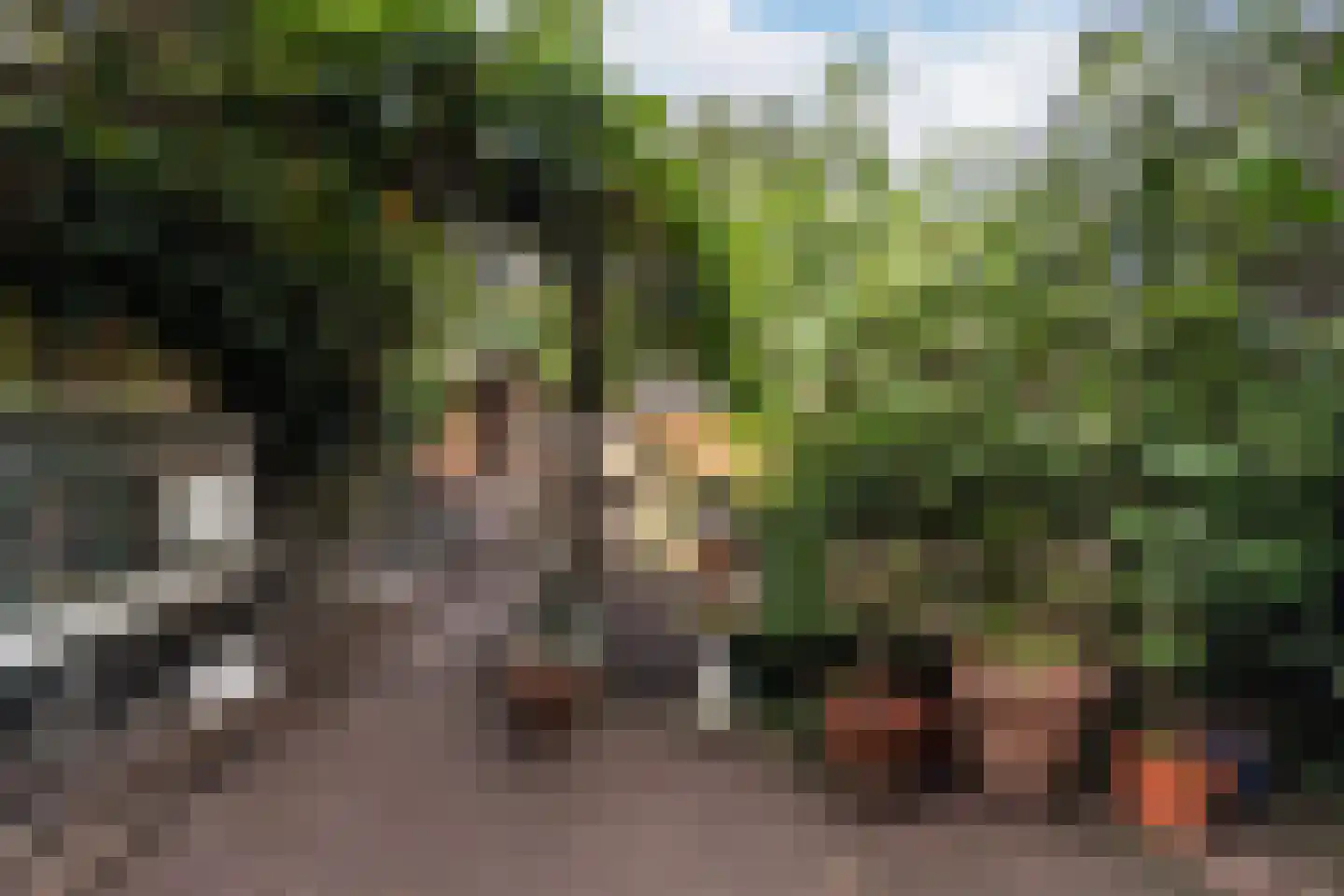 Tieselensstraat 13 Dordrecht thumbnail 32