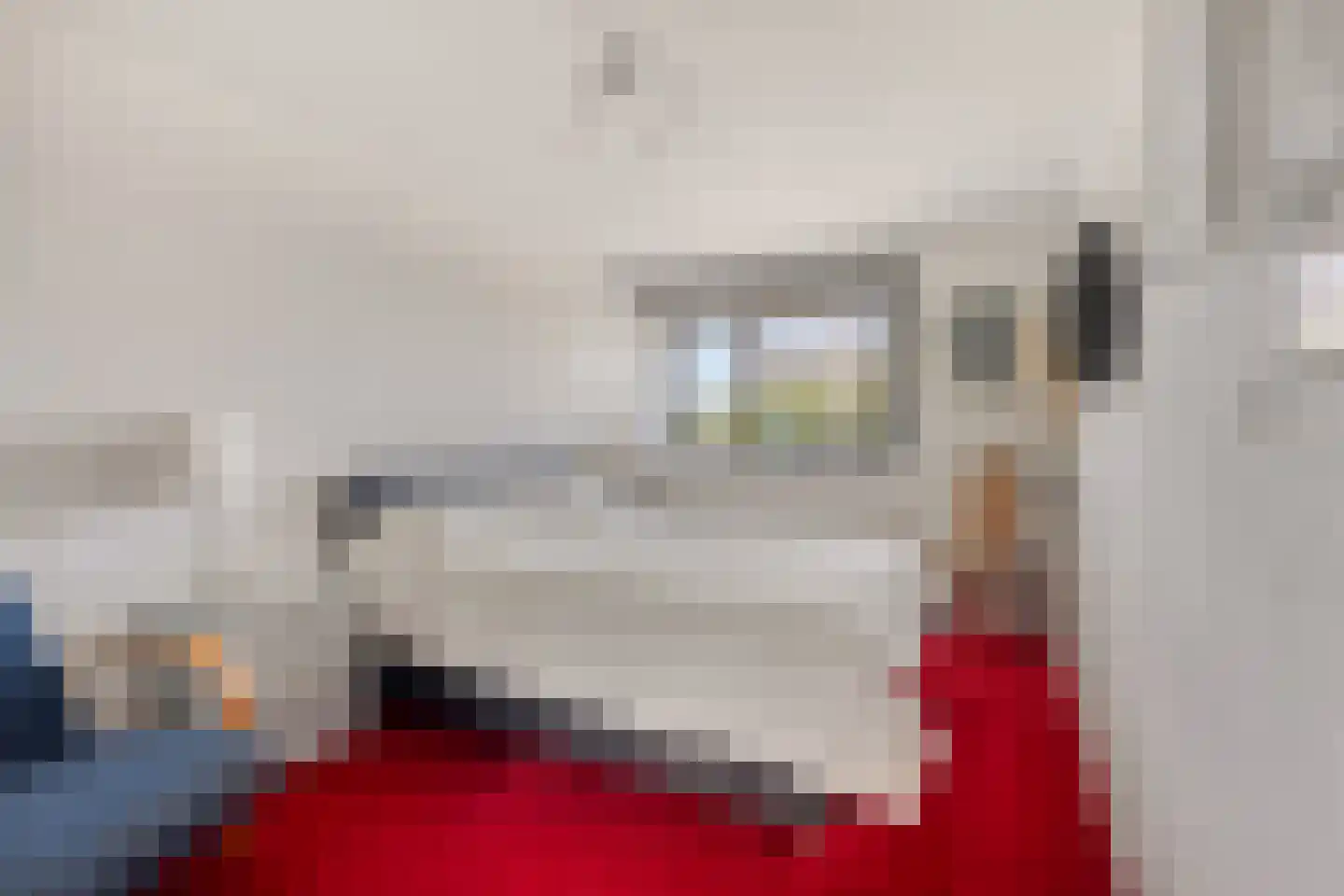 Tiesselinswaard 106 Rotterdam thumbnail 11