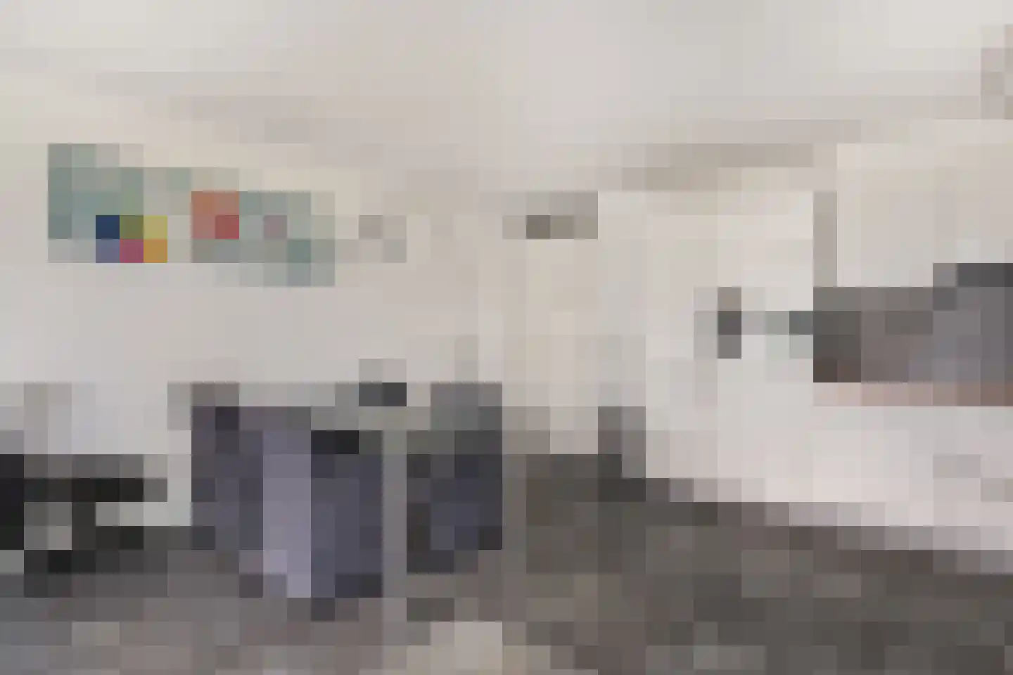 Tiesselinswaard 106 Rotterdam thumbnail 5