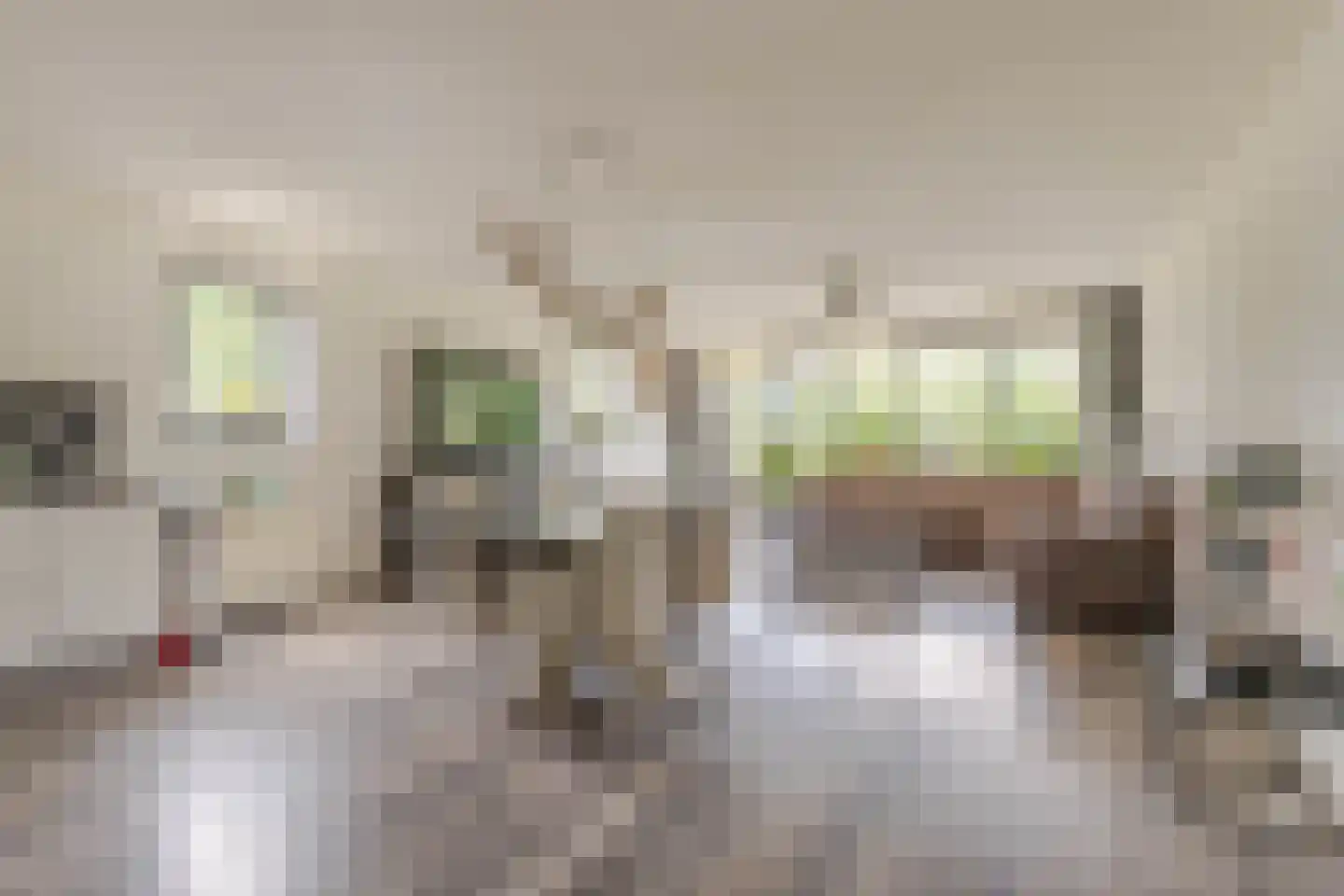 Tiesselinswaard 18 Rotterdam thumbnail 14