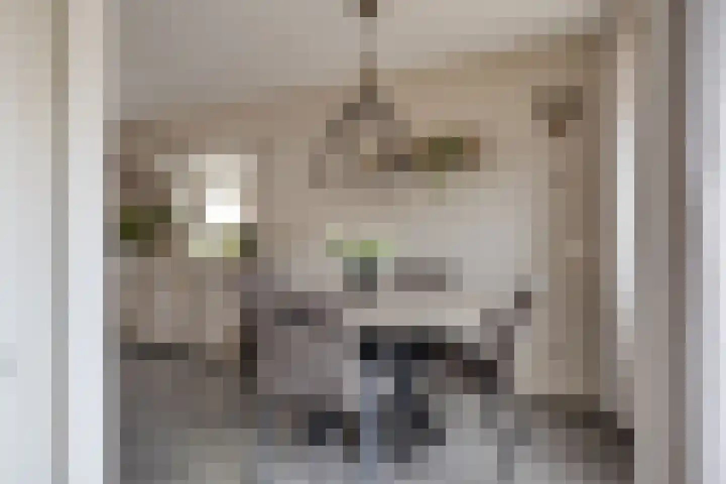 Tiggelland 3 Westervoort thumbnail 5