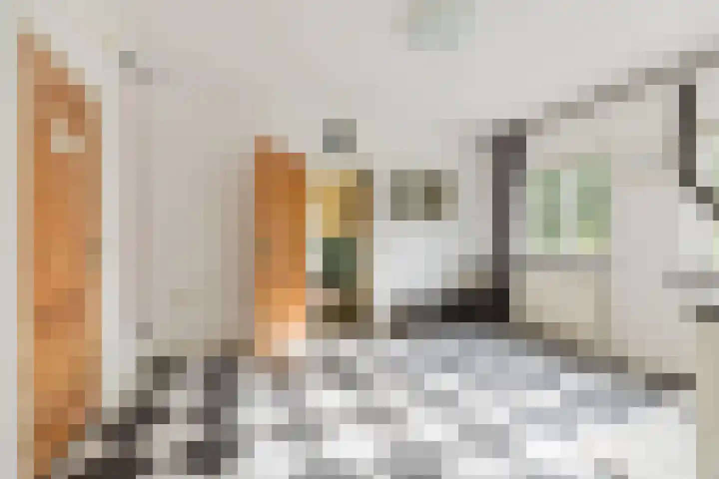 Tiggeltsebergstraat 34 Rijsbergen thumbnail 20