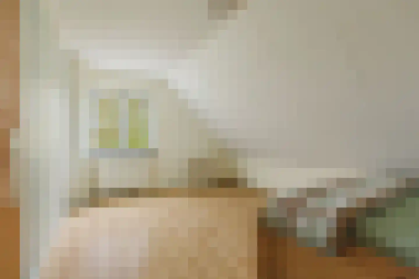 Tiggeltsebergstraat 34 Rijsbergen thumbnail 35