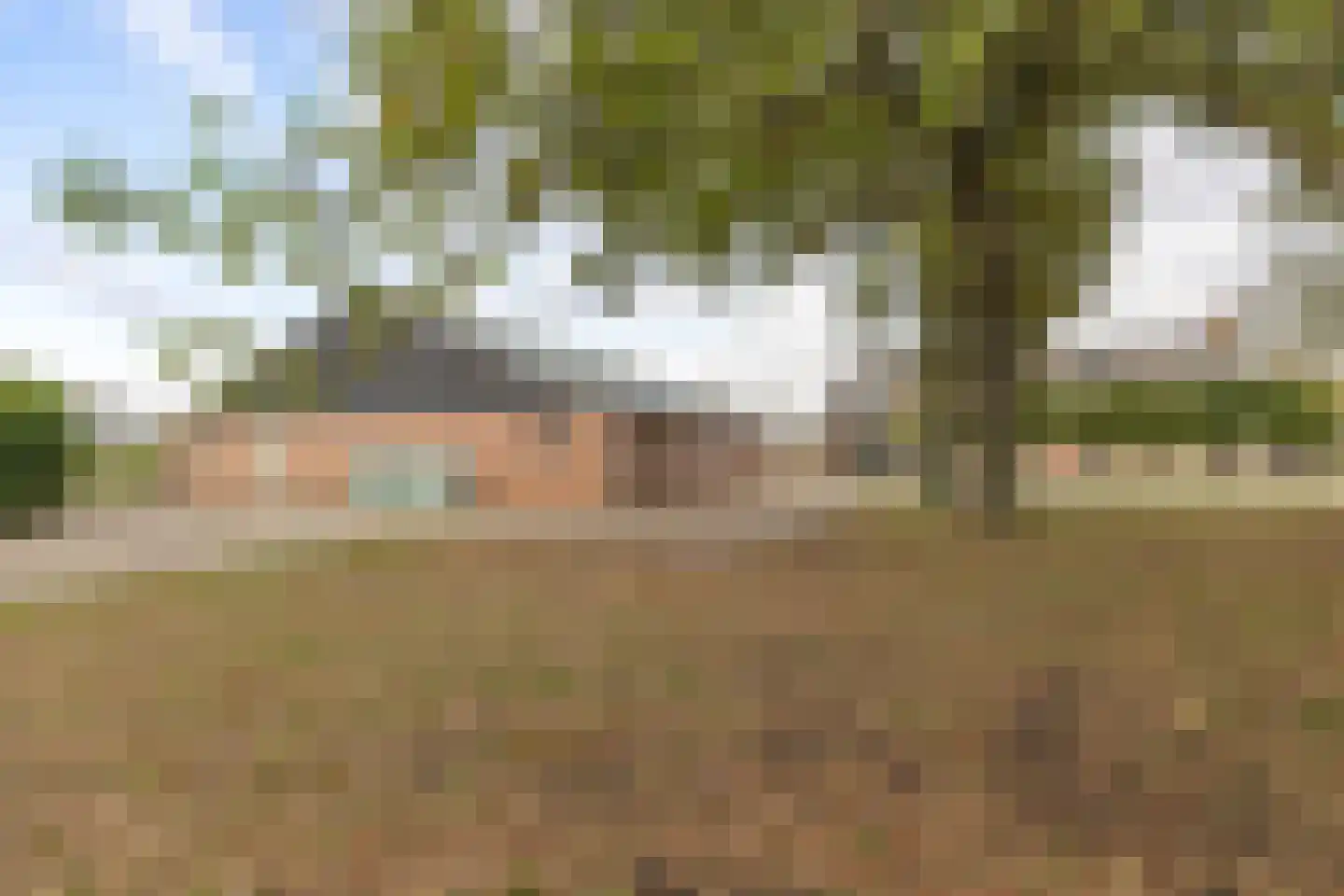 Tiggeltsebergstraat 34 Rijsbergen thumbnail 5