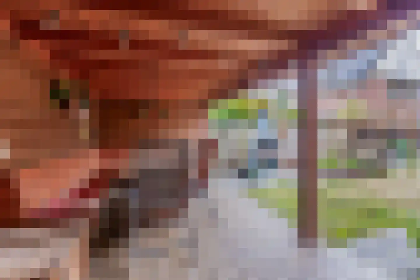 Tiglienstraat 67 Tegelen thumbnail 21