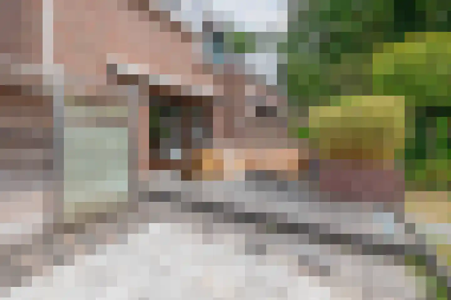 Tiglienstraat 67 Tegelen thumbnail 22