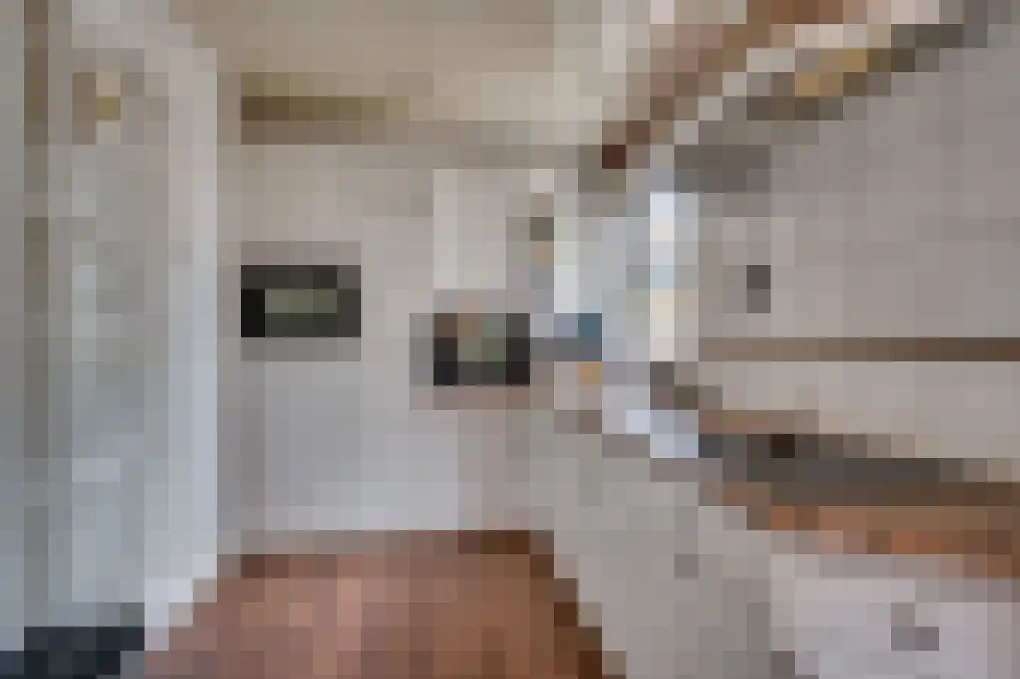 Tiglienstraat 8 Tegelen thumbnail 6