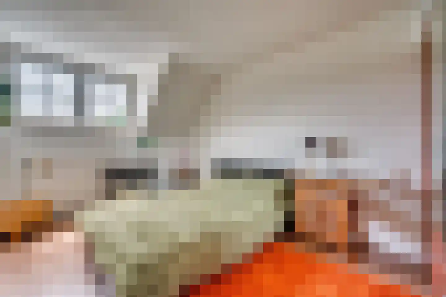 Tiglienstraat 8 Tegelen thumbnail 9