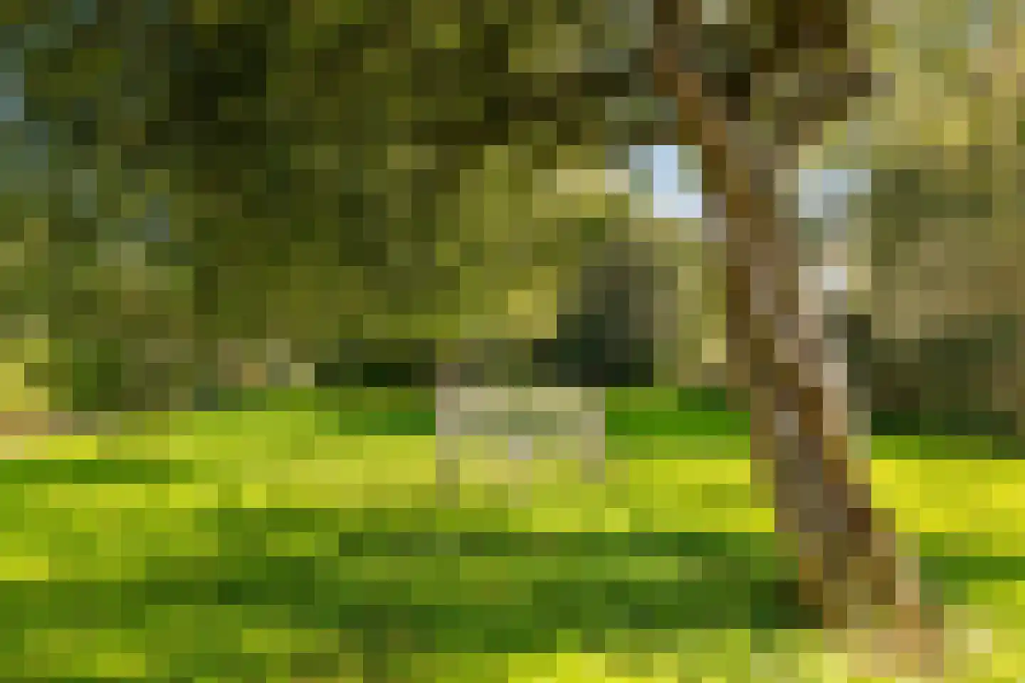 Tigris 23 Amstelveen thumbnail 39