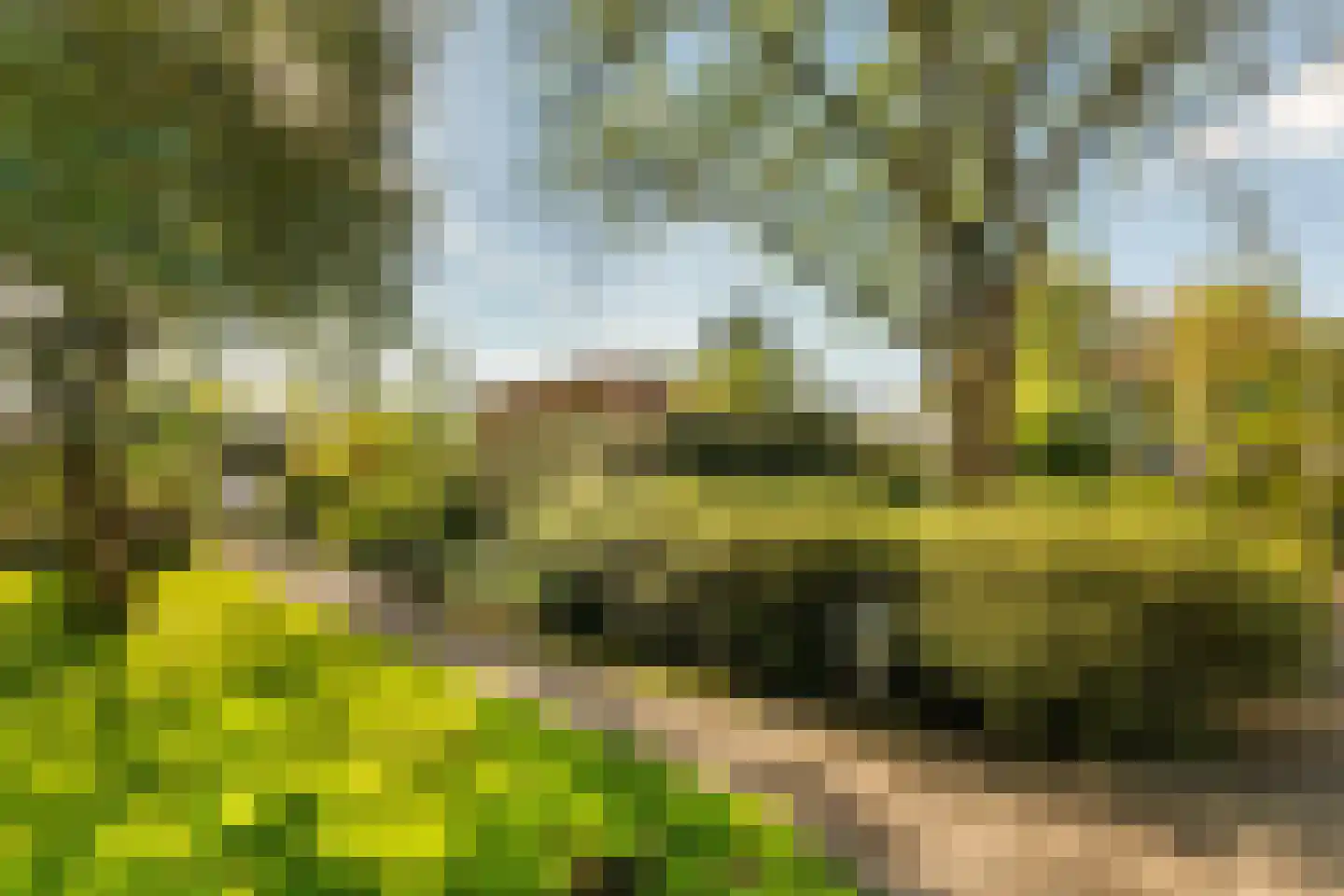 Tigris 23 Amstelveen thumbnail 40