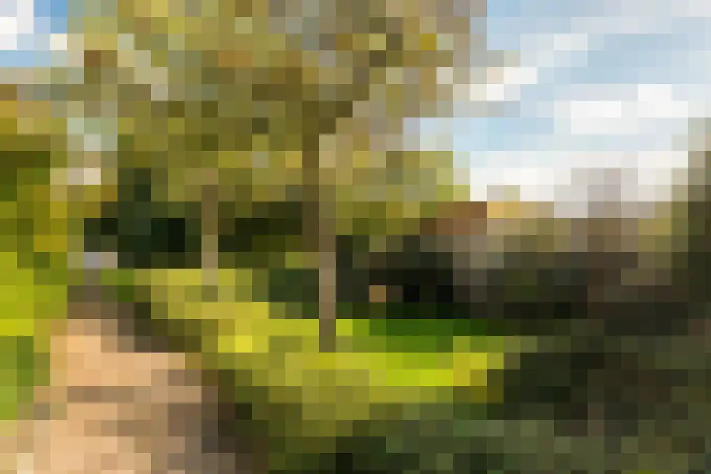 Tigris 23 Amstelveen thumbnail 41