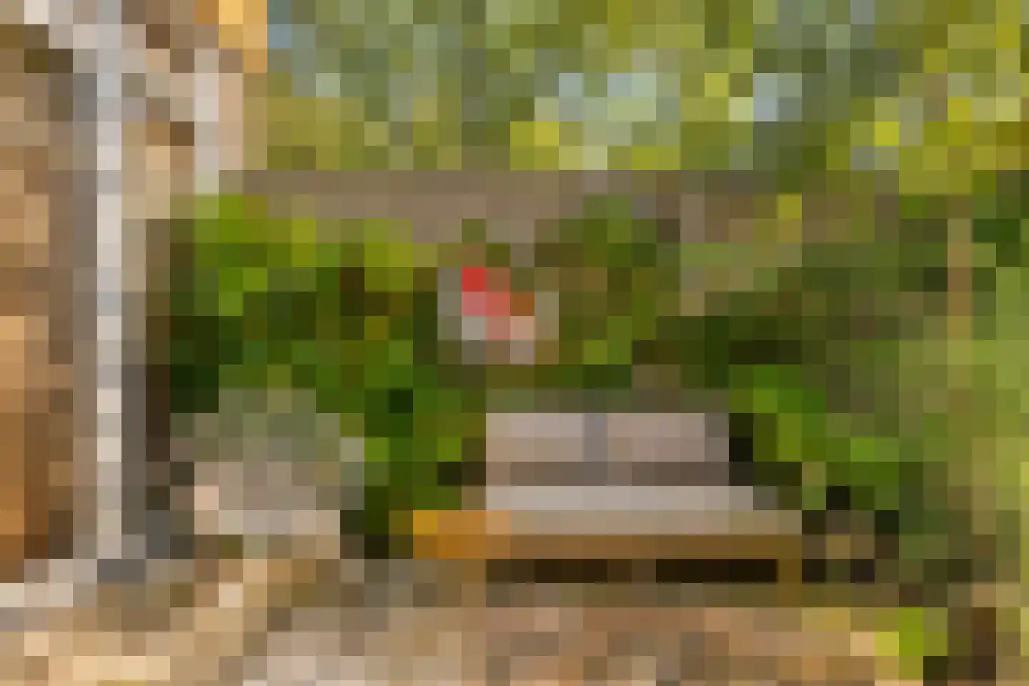 Tigris 23 Amstelveen thumbnail 5